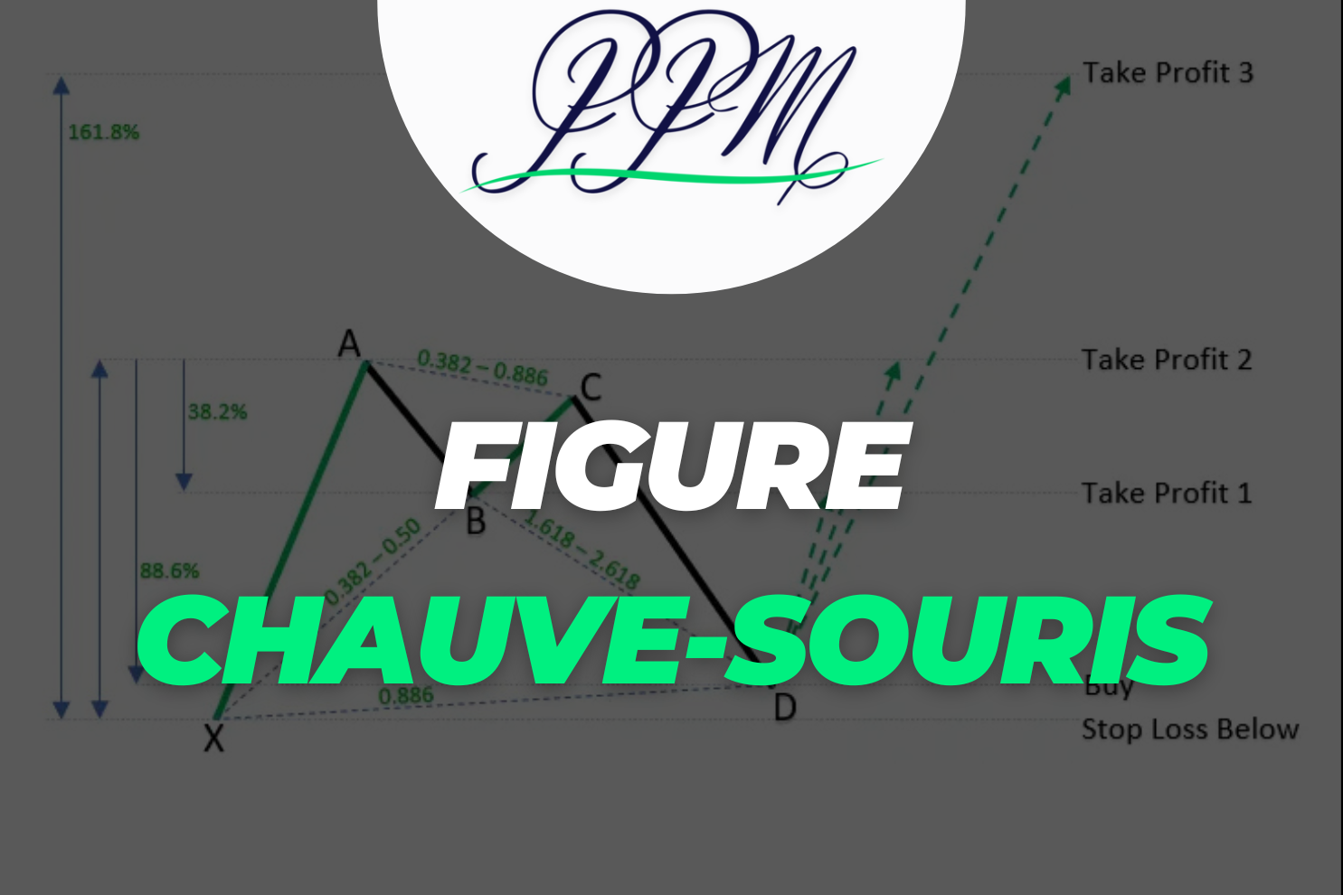 figure harmonique chauve-souris (bat)