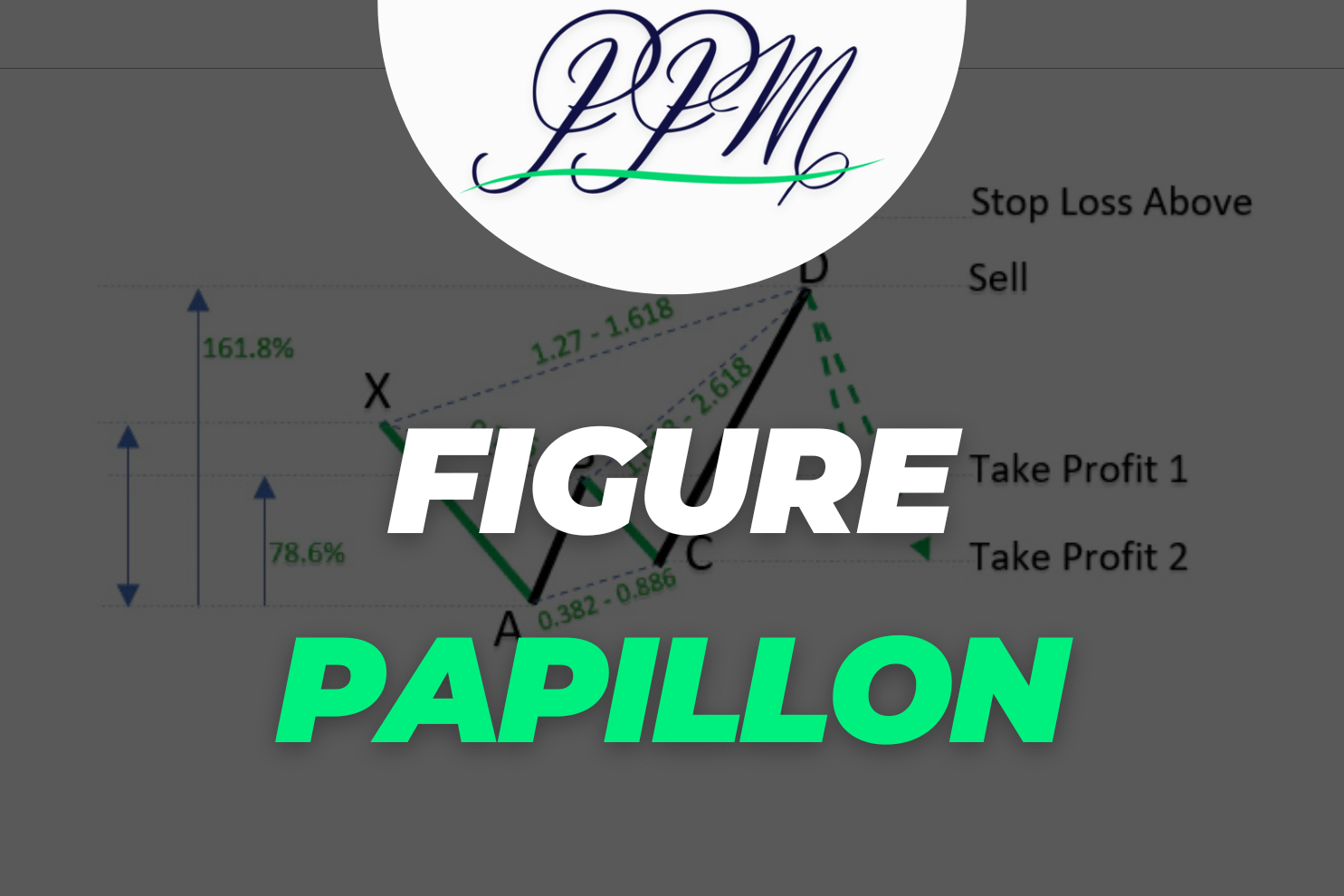 figure harmonique papillon