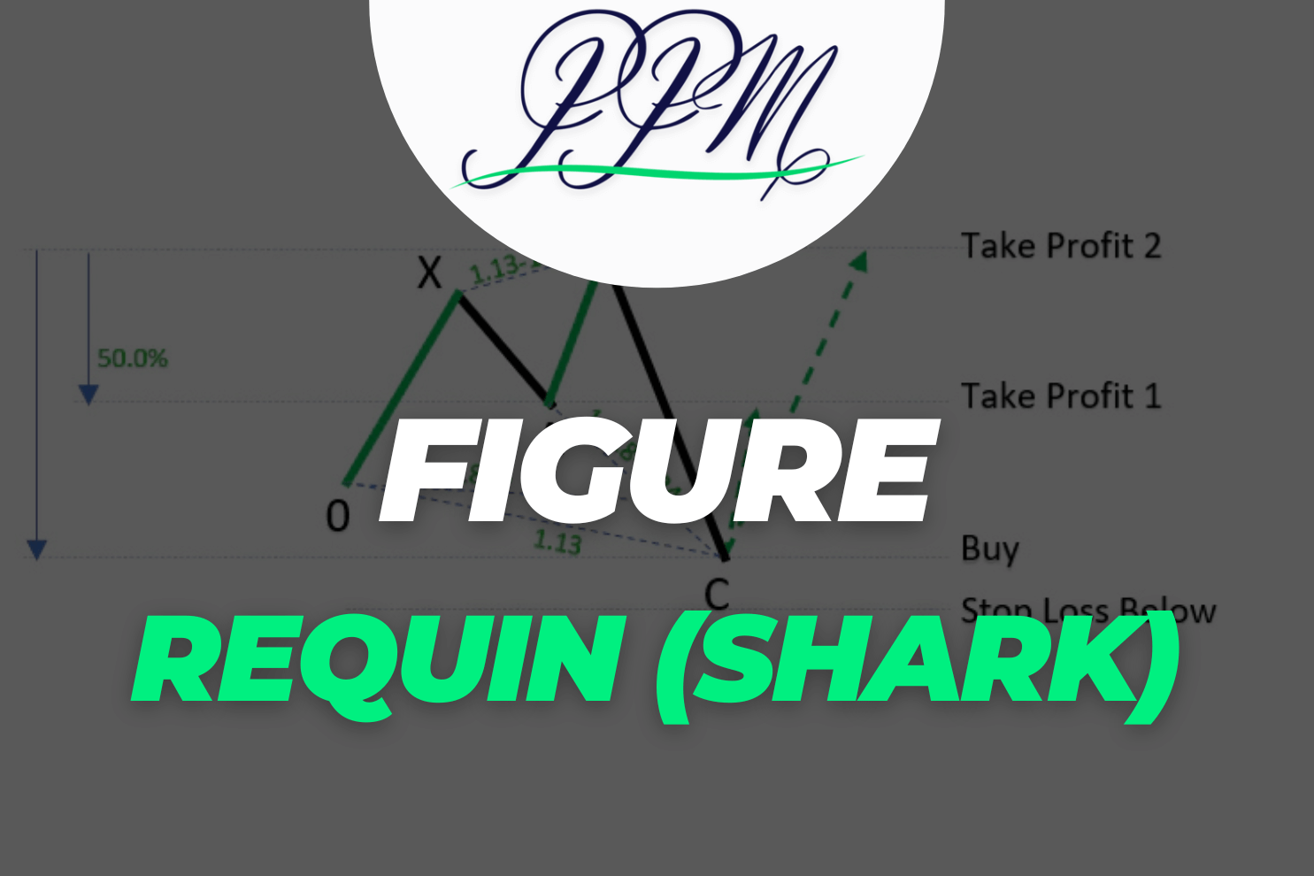 figure harmonique requin (shark)